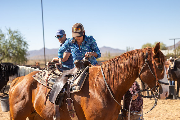 18-CattleDrive-May6-61010