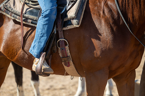 20-CattleDrive-May6-61012