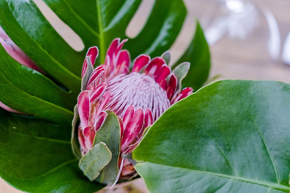 05-burberrygmc2019-7205236