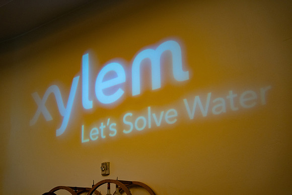 4-Xylem2026-09345