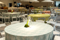 007-MSC decor-74109511