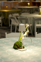 012-MSC decor-74109516