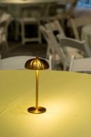 013-MSC decor-74109517
