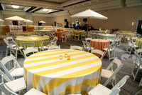 015-MSC decor-74109519