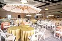 016-MSC decor-74109521