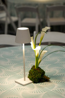 020-MSC decor-74109526