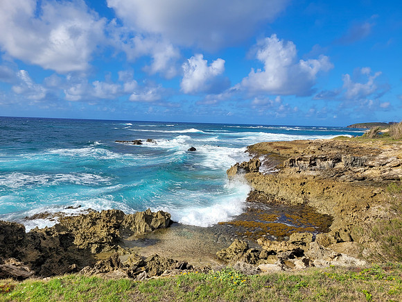 749-TriNet-Kauai-2025-083444