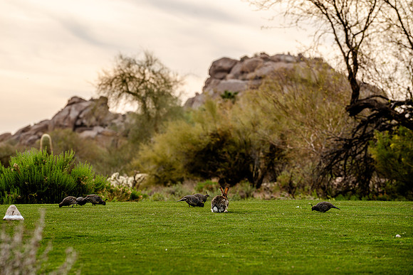 659-Boulders North-74100315