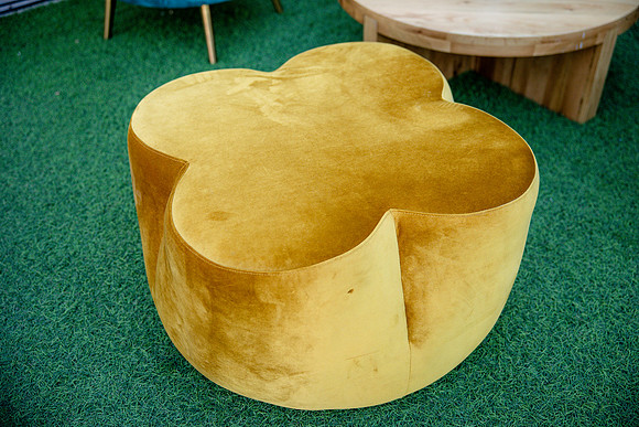 35-SWCPdecorJan25-4858