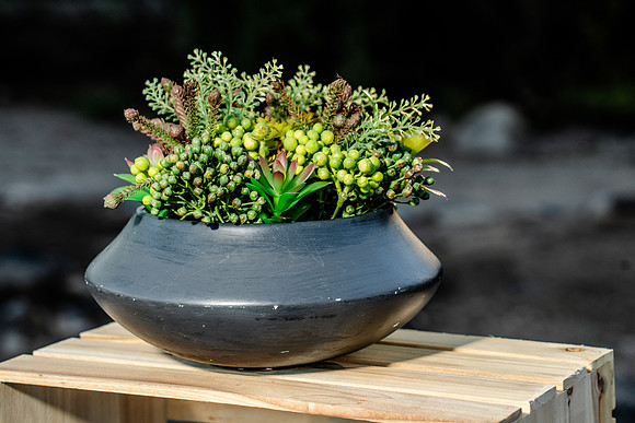 023-Cohera decor-74202304
