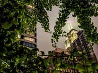 001-nyc-8601