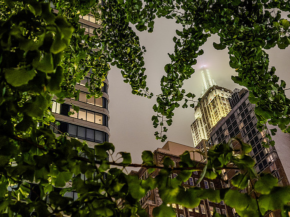 001-nyc-8601
