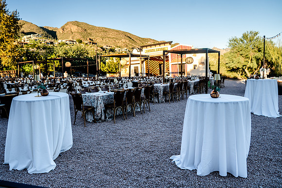 054-Cohera decor-74202348