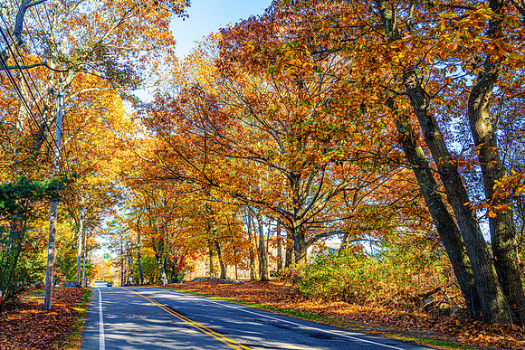 032-FallColors-74200234