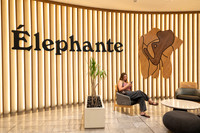 5-PRPhoenix2026-Elephante-4862