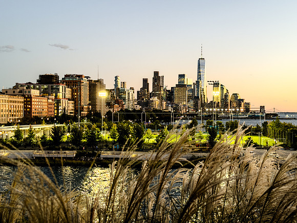029-nyc 2026-8668