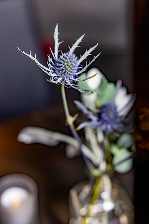 8-GCollectionDecor3-4-2966