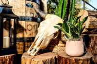 020-Cohera decor-74202301