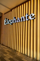 1-PRPhoenix2026-Elephante-4856