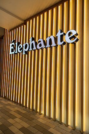 1-PRPhoenix2026-Elephante-4856
