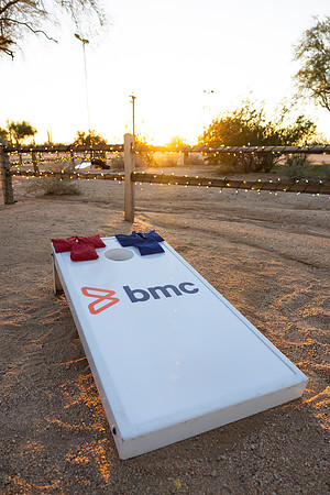 1-BMC-10531
