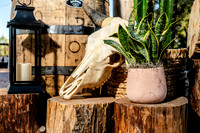 019-Cohera decor-74202300