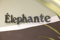 3-PRPhoenix2026-Elephante-4860