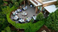 Reception/Dinner