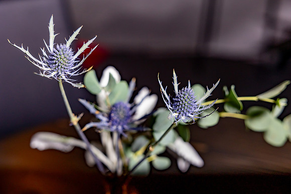 7-GCollectionDecor3-4-2965