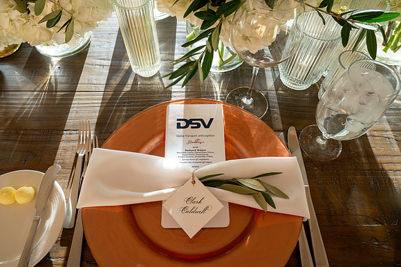 8-DSV-4563