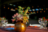 013DecorArabiansIMG_7560