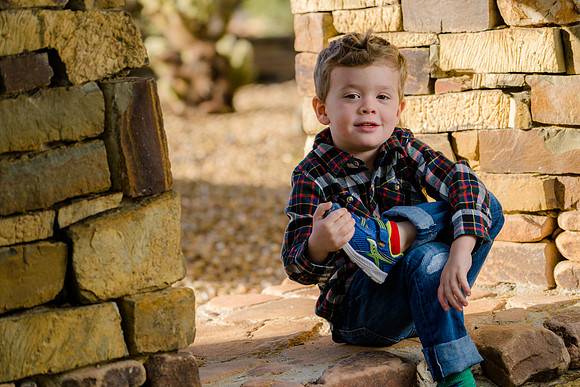 -026-petersen2018-05458