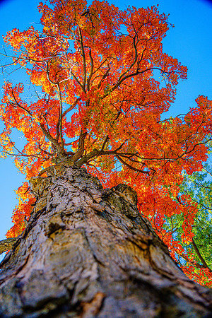 008-FallColors-74208039