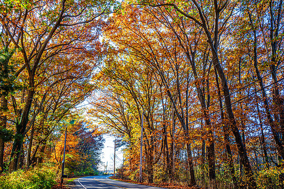 031-FallColors-74200230