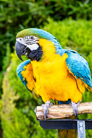 15-Decor-May20-0220