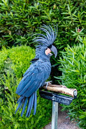 18-Decor-May20-0226