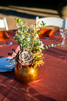 009DecorArabiansIMG_7553