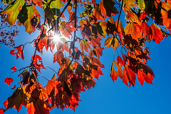 005-FallColors-74208022