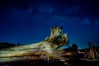 Driftwood, painting with light, La Push, WA