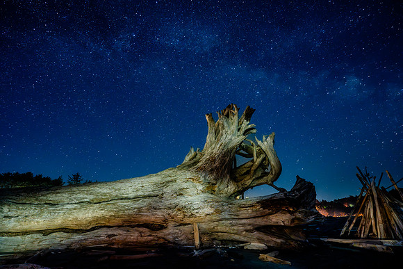 Driftwood, painting with light, La Push, WA