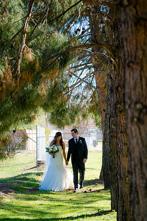 Meehan-Jenkins-232