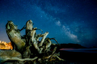 Driftwood, painting with light, La Push, WA