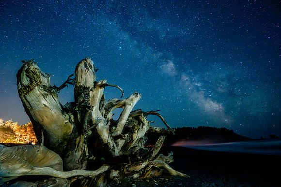 Driftwood, painting with light, La Push, WA