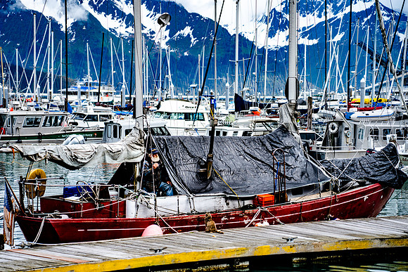 071-Alaska-7109748