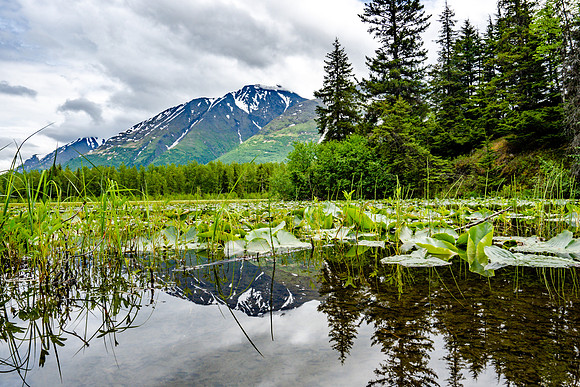 104-Alaska-