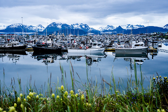 180-Alaska-7209333