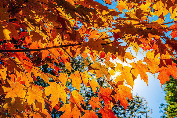 003-FallColors-74208019