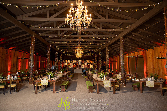 2-www.harleybonham.com-2689