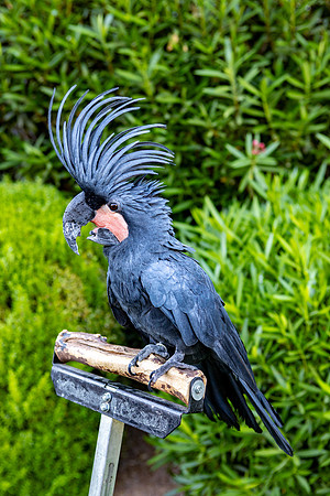 19-Decor-May20-0228