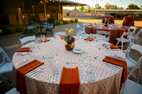 003DecorArabiansIMG_7535